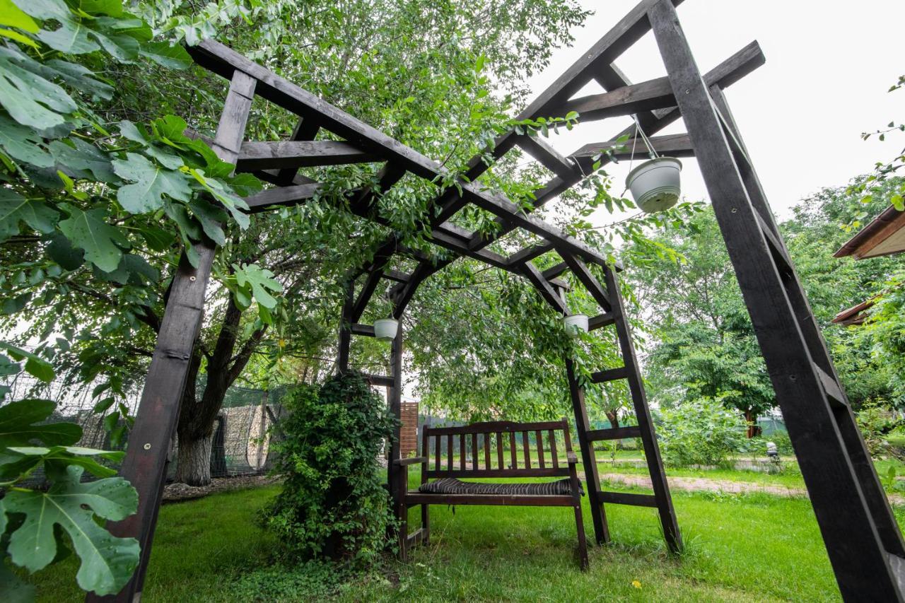 Casa Arcadia 1 Piscina,Jacuzzi, Sauna Buzău Eksteriør bilde