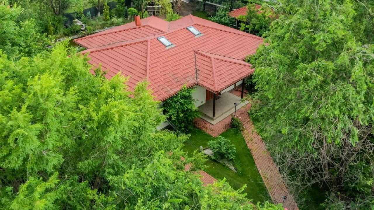 Casa Arcadia 1 Piscina,Jacuzzi, Sauna Buzău Eksteriør bilde