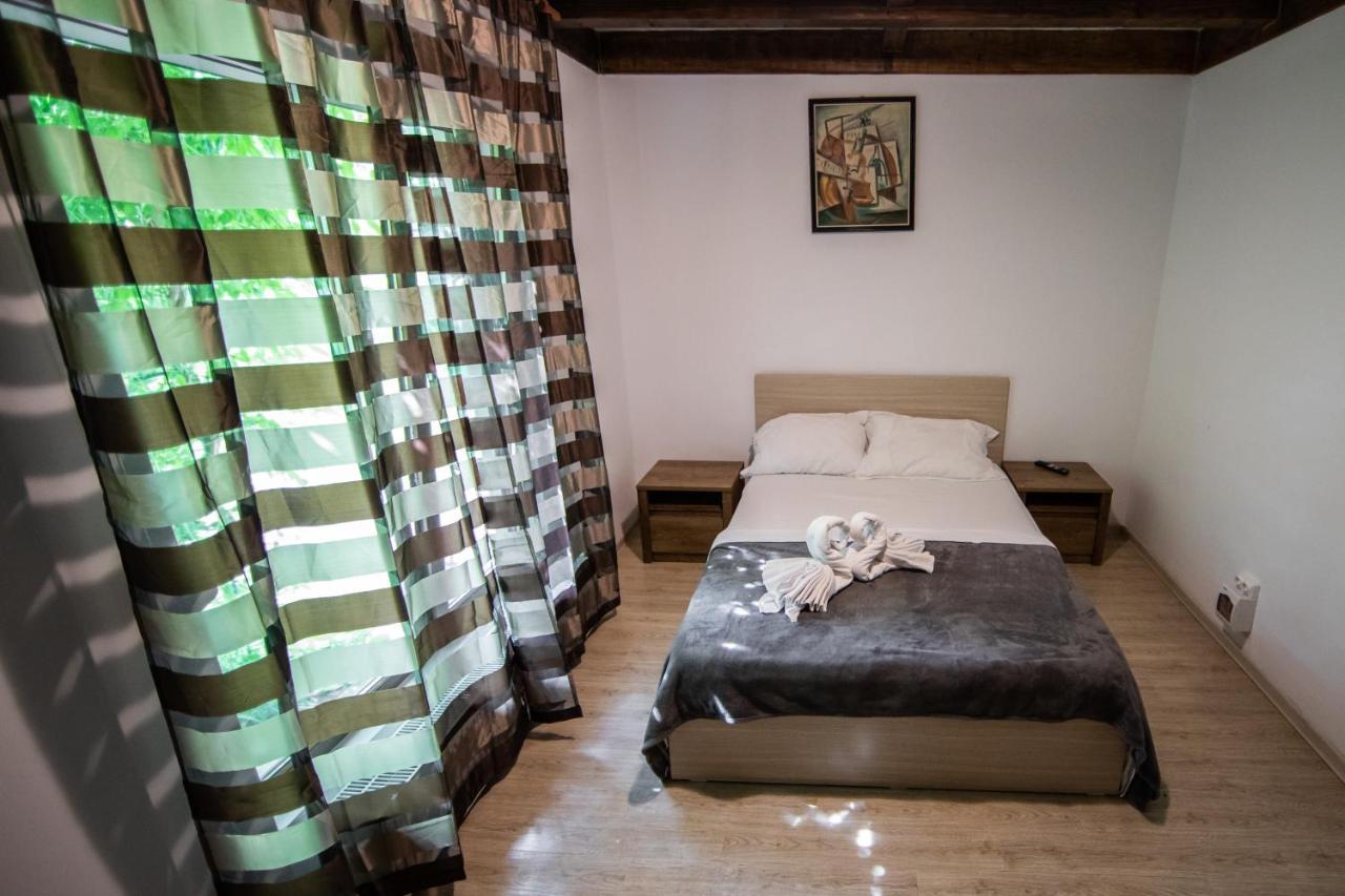 Casa Arcadia 1 Piscina,Jacuzzi, Sauna Buzău Eksteriør bilde
