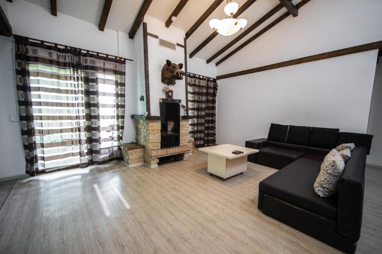 Casa Arcadia 1 Piscina,Jacuzzi, Sauna Buzău Eksteriør bilde