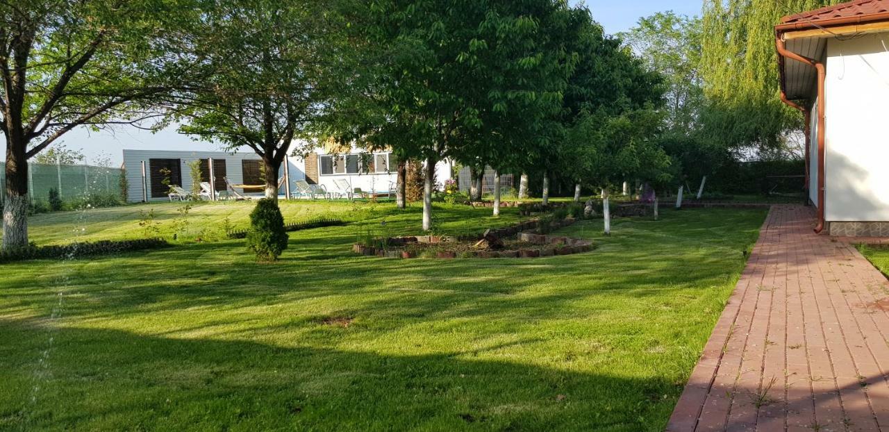 Casa Arcadia 1 Piscina,Jacuzzi, Sauna Buzău Eksteriør bilde