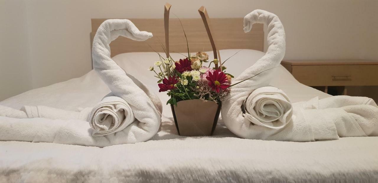 Casa Arcadia 1 Piscina,Jacuzzi, Sauna Buzău Eksteriør bilde